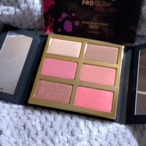 Tarte Tarteist Pro Glow and Blues cheek pallete New in Box